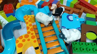 Satisfying Building Blocks Marble Run ASMR ⭐Bridge Elephant Seesaw stairs and Animals course [upl. by Shull]