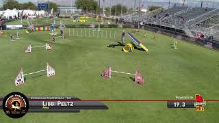 Aria Steeplechase Quarter Finals Cynosports 2024 [upl. by Euv557]