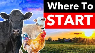 The 9 Best States To Start A Homestead [upl. by Matland]