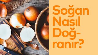 Soğan Nasıl Doğranır [upl. by Rustie]