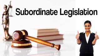 What is Subordinate Legislation  Define subordinate legislation with examples in urdu and hindi [upl. by Otreblide174]