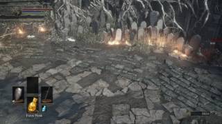 Dark Souls 3  Sirris and Yuria vs Hawkwood and Leonhard [upl. by Aryc]