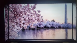 LG C1 G1 NOT PLAYING 4K HDR HDCP 22 DEBACLE  SHOULD YOU STILL BUY [upl. by Haroun]