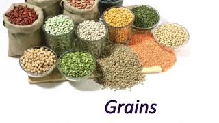 Grains  Cereals and pulses [upl. by Hinda]