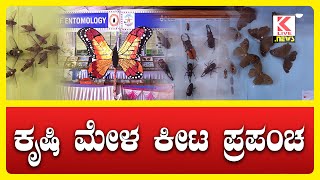 Shivamogga krushi Mela 2024  Shivamogga News klivenews kannadanews krushimela shimoga [upl. by Worrad]