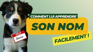 Comment apprendre à mon chien son nom  🐶❓🤷‍♀️ [upl. by Edals]