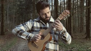 Scar Tissue Red Hot Chili Peppers on Guitarlele  Luca Stricagnoli [upl. by Ayit]