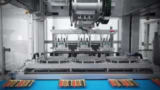 Fully automatic packaging line from Schubert Robots place sweets in plastic trays [upl. by Nowed]