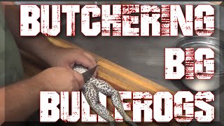 Butchering Big Bullfrogs [upl. by Nolitta292]