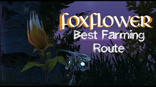 Best Foxflower Farming Tricks and Routes WoW Gold Guide [upl. by Starobin]