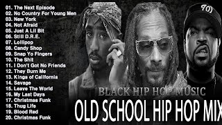 OLD SCHOOL HIP HOP MIX 🔥🔥🔥 Snoop Dogg Dr Dre Eminem The Game 50 Cent 2PAC DMX Lil Jon [upl. by Lolita]