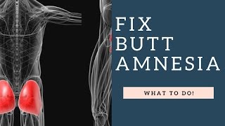 BEST Glute Activation Exercises To Fix Gluteal Amnesia AKA Dead Butt Syndrome [upl. by Ahseila]