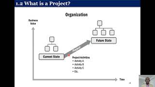 1 Purpose of the PMBOK Guide  Definitions Project Program  Portfolio [upl. by Harat]