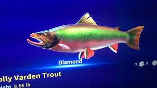 Call of the wild the angler diamond Dolly Varden Trout hotspot [upl. by Eiralih]