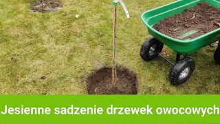 Jesienne sadzenie drzewek owocowych [upl. by Gridley]