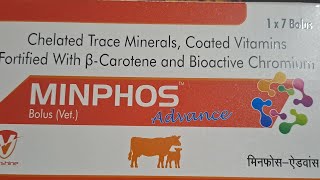 MINPHOS Advance Bolus VetChelated Trace Minerals Coated Vitamins Fortified With ẞCarotene [upl. by Hutchins538]