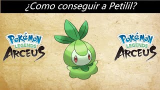 Como conseguir a Petilil en Pokemon Leyendas Arceus [upl. by Ocsirf]