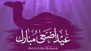 Eid ul Adha Mubarak  Eid Mubarak Wishes for friends and family  Bari Eid Mubarak  Way to Allah [upl. by Anitsim47]