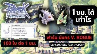 Ragnarok Online GGT Classic  หาเงิน Petite มังกร Geffen ที่ Geffen Field geffild06 1ชม [upl. by Kirkwood]