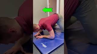 Increase shoulder and scapular stability — DNS Low Bear Exercises [upl. by Centonze457]