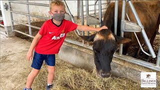 Junior Farmer Camp at Billings Farm amp Museum [upl. by Stoneham]