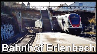 Züge am Bahnhof Erlenbach ZH Kanton Zürich Schweiz 2020 [upl. by Dysart279]