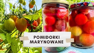 Pomidory koktajlowe w słoikach na zimę POMIDORY MARYNOWANE 🍅 szybkie przetwory na zimę [upl. by Callean146]