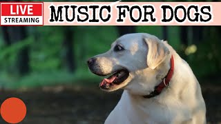 🔴LIVE Dog Music🎵Dog Calming Music🐶🎵Separation Anxiety Relief Music💖Dog Sleep Soothing Music🔴16 [upl. by Syah]