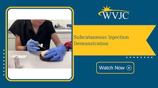 Subcutaneous Injection Demonstration [upl. by Maer48]