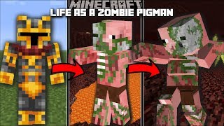 Minecraft LIFE AS A ZOMBIE PIGMAN MOD  SURVIVE IN THE NETHER AND THE END Minecraft [upl. by Elyrad379]