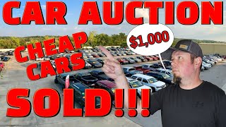 Where Do Car Dealers Get Their Cars INSIDE LOOK At Dealer Auctions [upl. by Kathie]