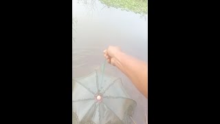 Umbrella Fishing Hacks Catching Fish with an Umbrella [upl. by Harilda]