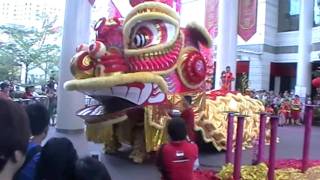 Singapores biggest ever lion dance 150111 [upl. by Amsirp]