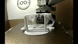 Capitoline Wolf coin flip holder 3D print time lapse [upl. by Edorej316]