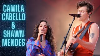 Camila Cabello amp Shawn Mendes Tarot Reading  Journey to Love✈️ [upl. by Ardelle943]