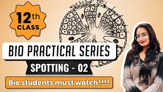 How to do SPOTTING part 02 Biology Practical Class 12 top coaching [upl. by Nyssa760]