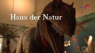 Haus der NaturMuseum für Natur und TechnikSalzburgFull HD 1080p [upl. by Lapo]