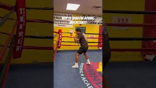 How to shadow box🥊 shadowboxing boxing [upl. by Retxab]