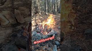 SlowMotion Campfire Engulfed In Spiritual Flame campfirevibes rewildyourself back2nature [upl. by Tory]