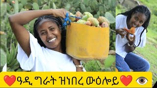 ዋይ በለስ ዓዲ ግራት ዝነበረኒ ውዕሎbrey [upl. by Rutledge]