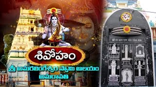 Shivaratri Special  Sri Amaralingeswara Swamy Temple in Amaravathi  Vanitha TV [upl. by Eerbua]