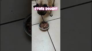 Comparing store DOG food over HOMEMADE pugobsession cute dogfood pug [upl. by Tufts]