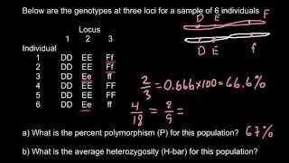 How to calculate perсentage of polymorphism and heterozygosity [upl. by Emee215]