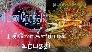 எளிய முறை நாட்டுக்கோழிக்கு கரையான் உருவாக்கும் விதம் natukoli karaiyaan urpathi [upl. by Akira]