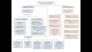 Relaciones entre los individuos de una comunidad biológica [upl. by Silyhp]