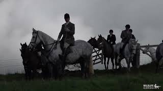 Beaufort Hunt  Fox Hunting and Harassment 2023 featuring Lord Mancroft [upl. by Rebmat611]