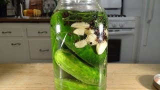 Homemade Dill Pickles Lactofermented [upl. by Neuberger]