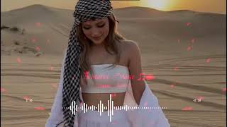 💗New Arabic Remix Song💗  arabic remix  arabic slowed reverb songs arabic music bass boosted [upl. by Floro]