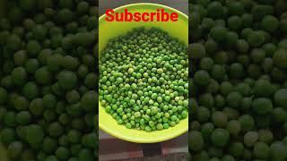 Mojar ranna Sither Raja Koraishutir porota recipeshortsyoutubeshortsfoodlovershortvideoviral [upl. by Erodeht]