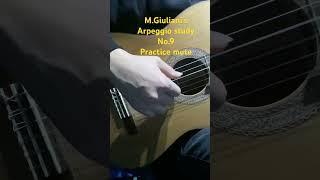 MGiuliani’s Arpeggio study practice mute classicalguitar guitararpeggio guitartechnique [upl. by Tteltrab]